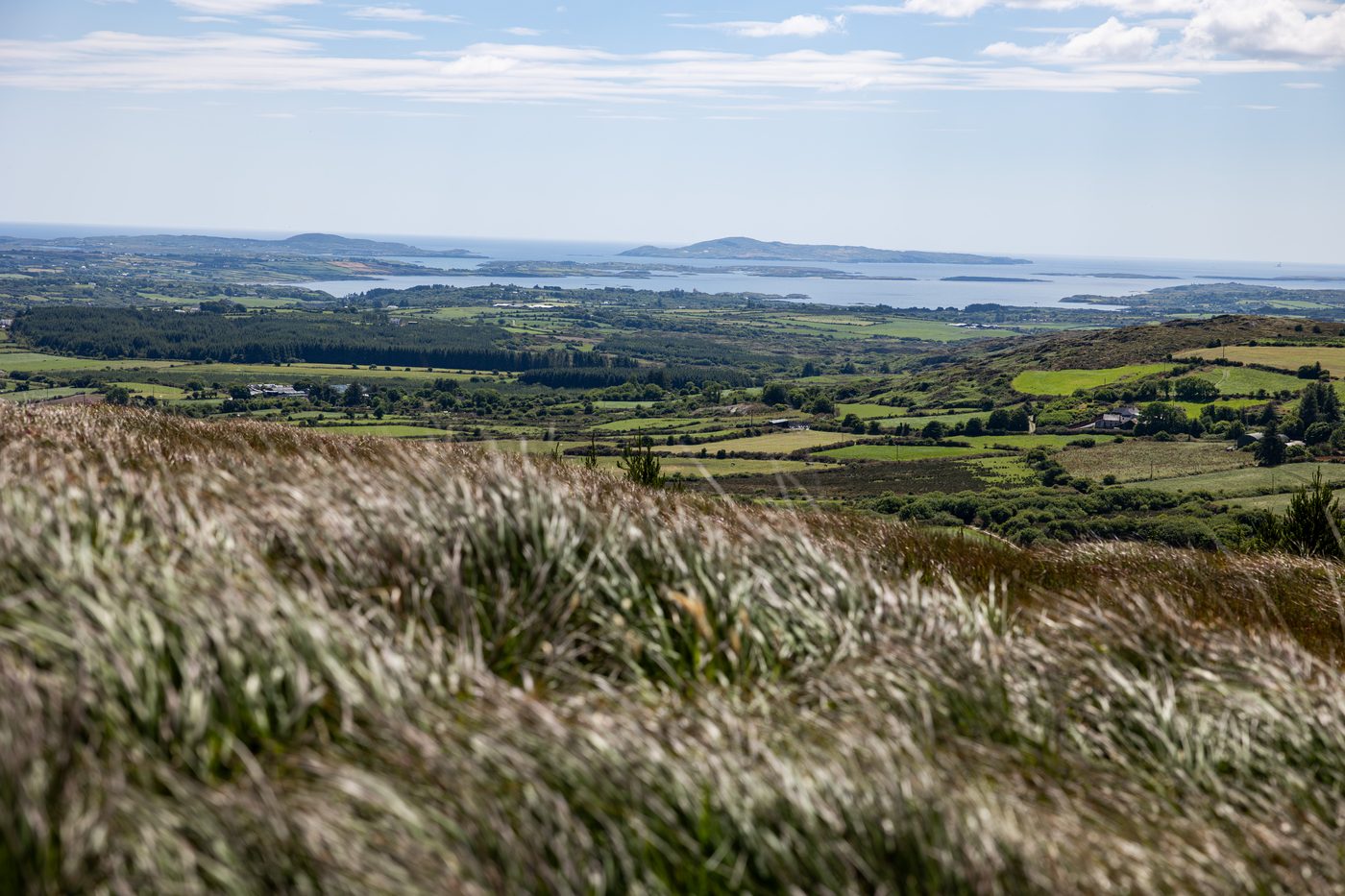 A wide view over grass and heather to a small lake, farmland and the sea
