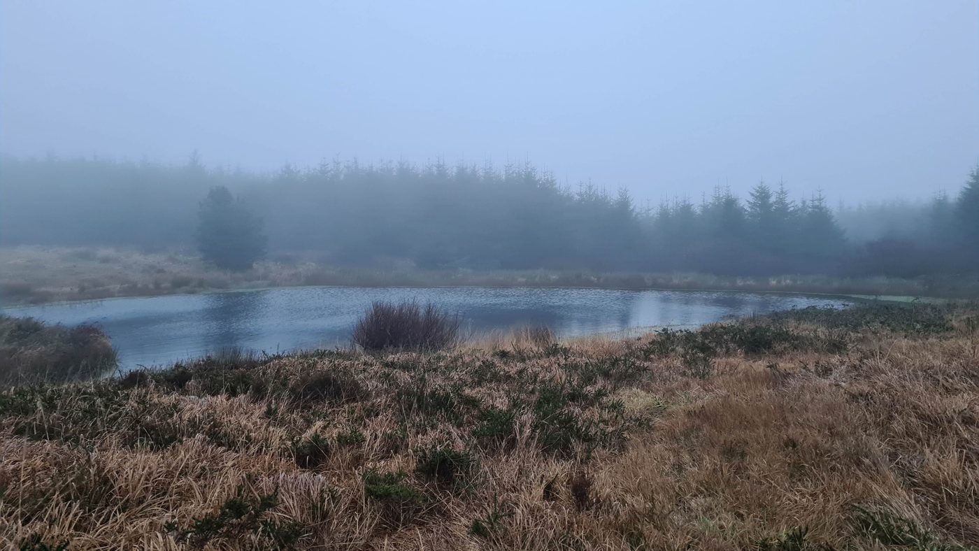 A small lake surrounded by hedgerow and scrub in mist