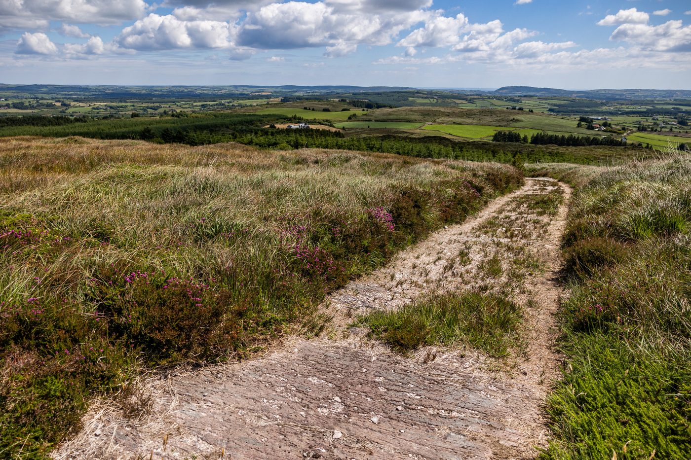 A chalky dirt trail curving through purple heather towards a green valley