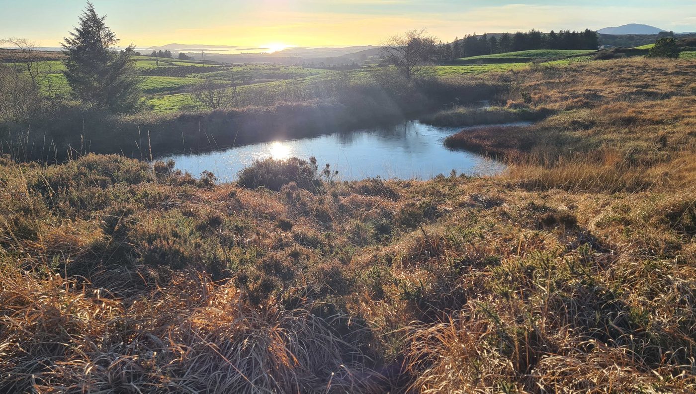 A reed-fringed lake reflecting low sun, with fields and hills beyond
