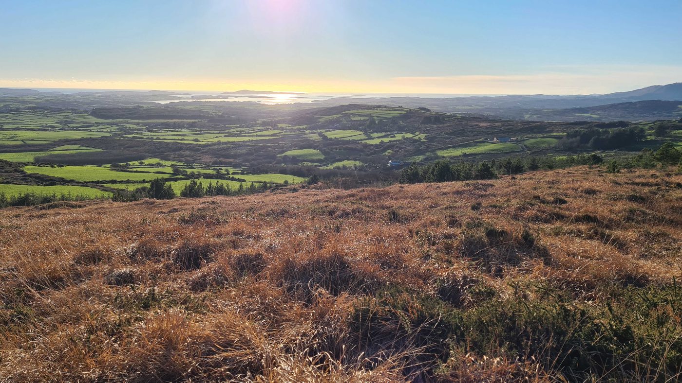 Golden-hour view across West Cork fields towards the sea