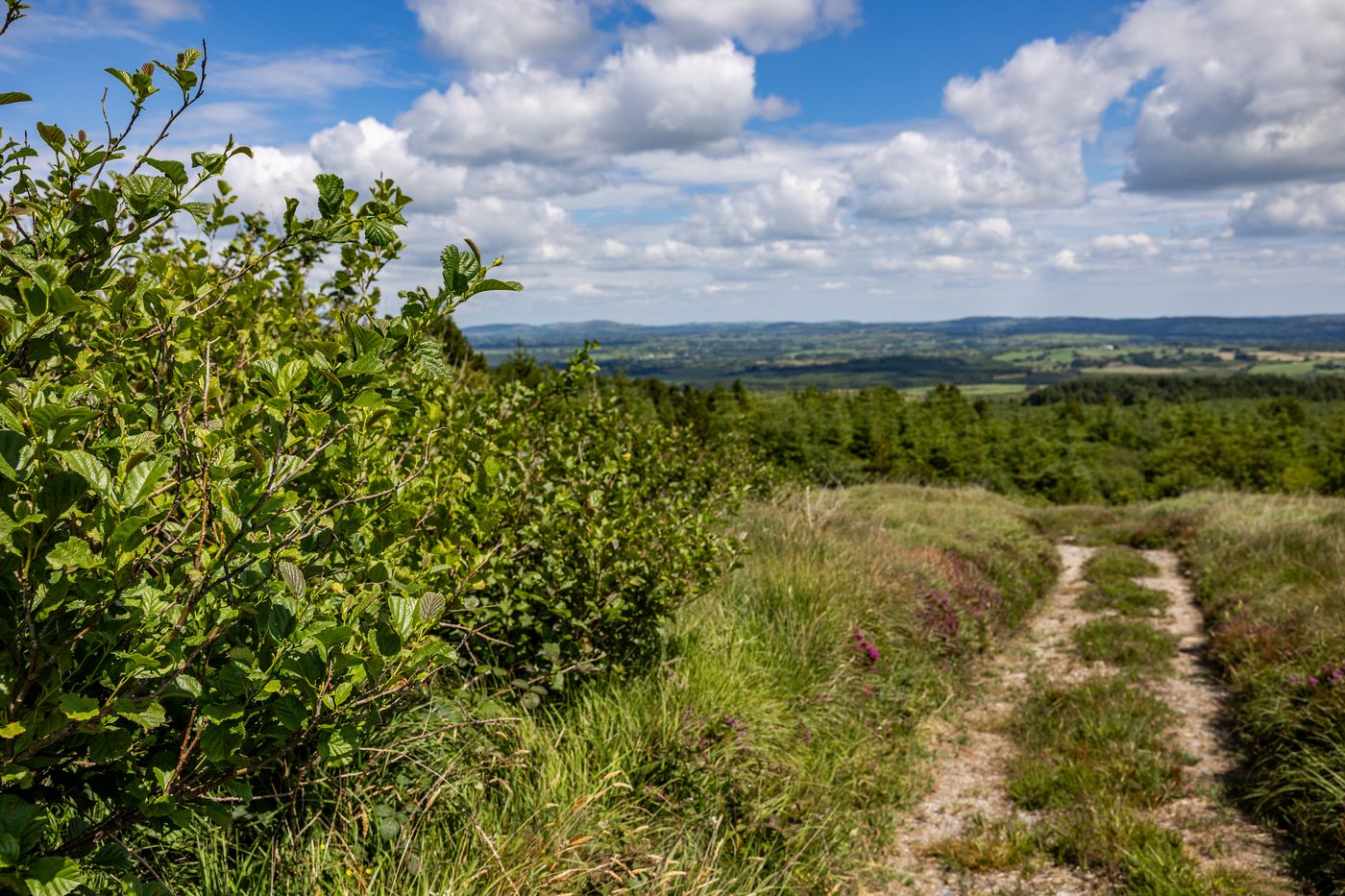 A wide green hilltop under a blue sky with scattered clouds